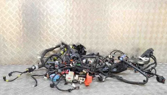 Tesla Model 3 Other wiring loom 256796408C