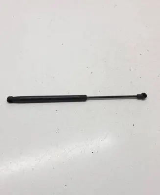 Tailgate/trunk strut/damper
