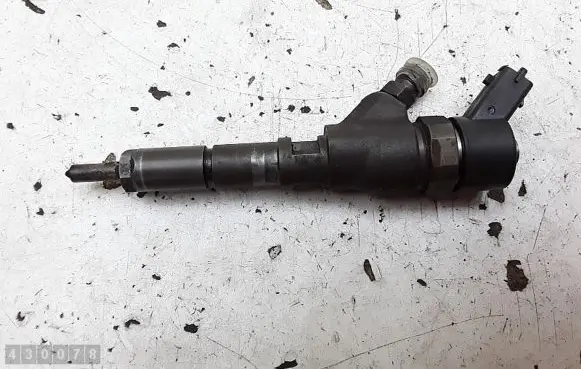 Peugeot 406 Fuel injector 0445110008 9635196580