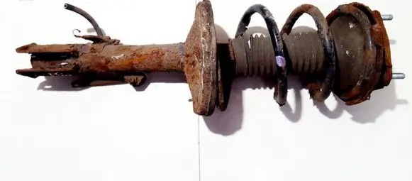 Toyota RAV 4 (XA20) Front shock absorber/damper