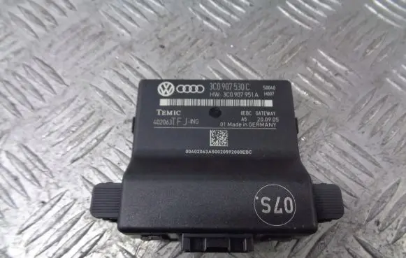Volkswagen PASSAT B6 Gateway control module 3C0907530C