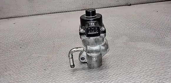 EGR valve