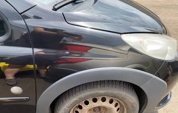 Peugeot 207 Fender