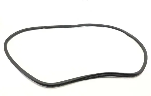 Opel Grandland X Rubber seal front door (on door) 9811537480