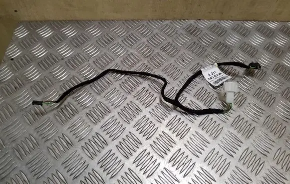 Rear door wiring loom