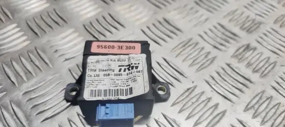 KIA Sorento Other control units/modules 956003E300 0580085014087