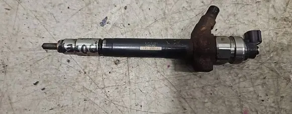 Peugeot Boxer Fuel injector 0950005801 10U01419