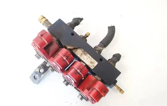 Peugeot 307 LP gas injector e4020268
