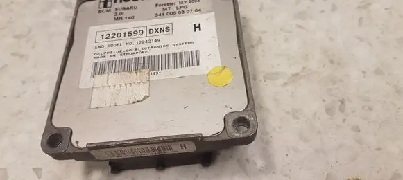 Subaru Forester SG Engine control unit/module 341005030704 12201599