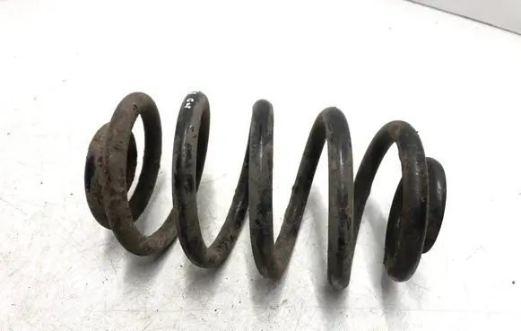 Rear coil spring
