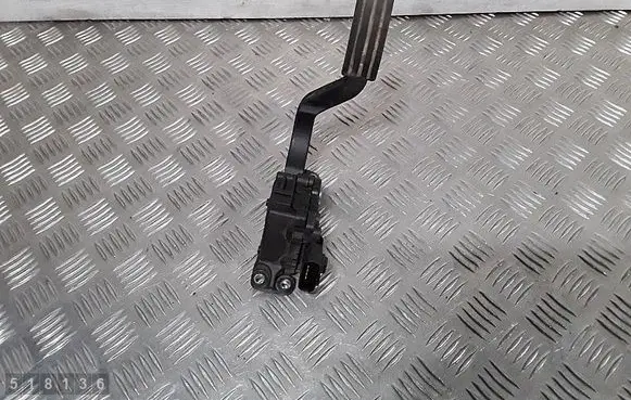 Ford Fiesta Accelerator throttle pedal 4s619f836aa