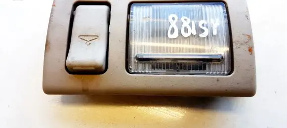 Chrysler Pacifica Rear seat light VJ5909LH