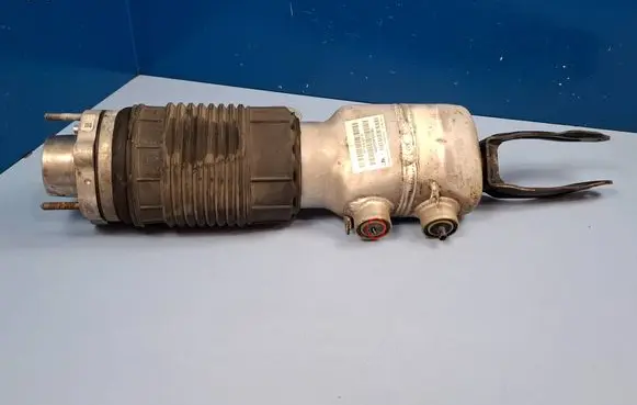 Porsche Panamera (971) Front shock absorber/damper 971616037D 15140020534