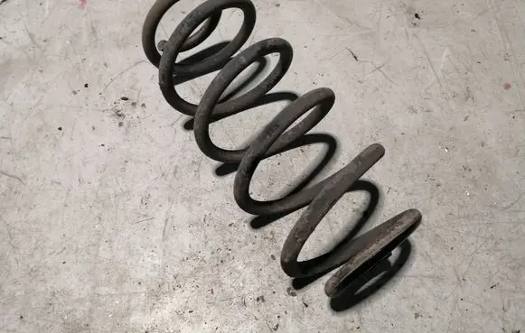 Rear coil spring