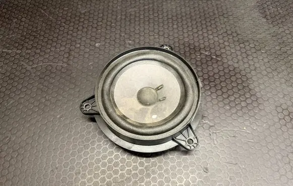 Front door speaker