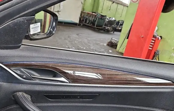 BMW 5 G30 G31 G38 Front door card panel trim 2988987 IMPRK1590575