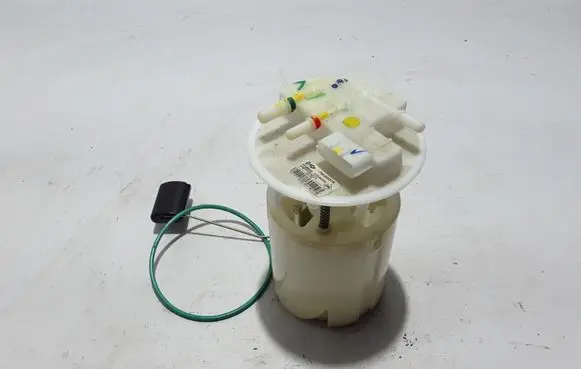 Renault Latitude (L70) In-tank fuel pump 172020037R