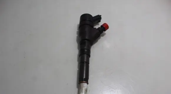 Citroen C5 Fuel injector 0445110076