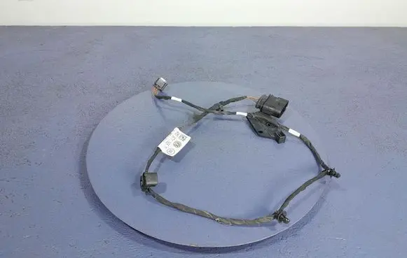 Porsche Cayenne (9PA) Other wiring loom 4M0971165T
