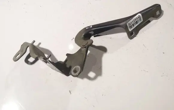 Renault Laguna III Engine bonnet/hood hinges 654010001R