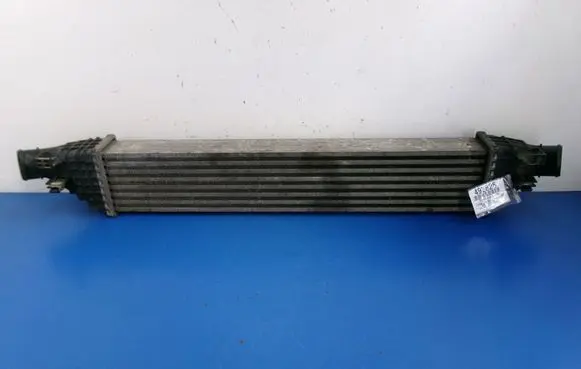 Dodge Journey Intercooler radiator L9282001