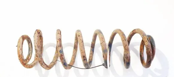 Volkswagen Jetta V Rear coil spring