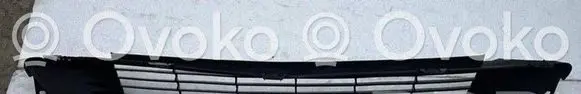 Tesla Model 3 Front bumper lower grill 108592700C 1085927