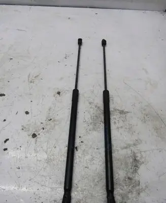 Ford Fiesta Tailgate strut H1BB-A406A10-AH