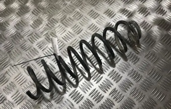 Seat Cordoba (6K) Rear coil spring
