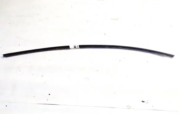 Chrysler Grand Voyager V Front door glass trim molding 