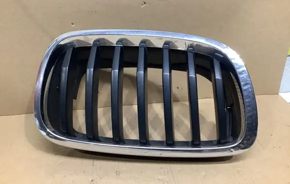 BMW X6 E71 Front grill 7177396 7305592