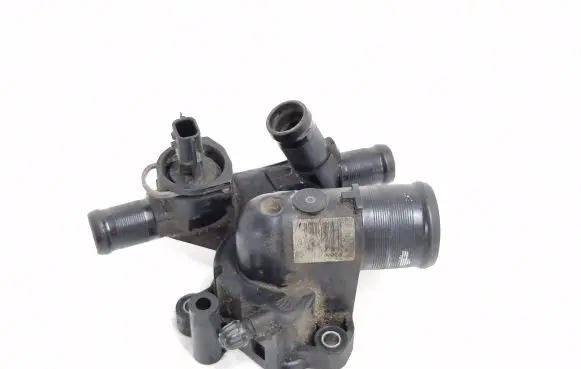 Thermostat/thermostat housing