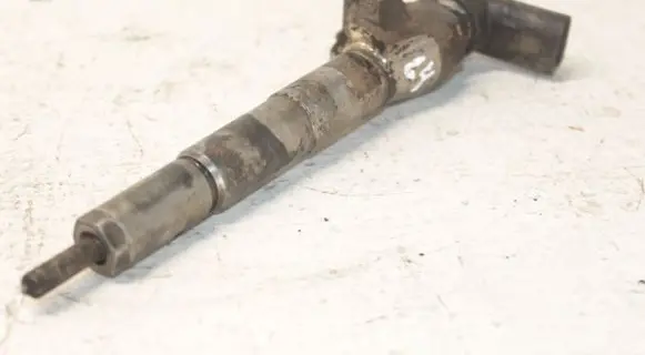 Nissan Qashqai Fuel injector 8200903034 H8200704191