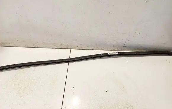 Volvo C30 Front door glass trim molding 