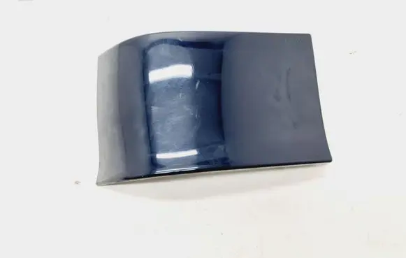 Rear/tail light trim molding