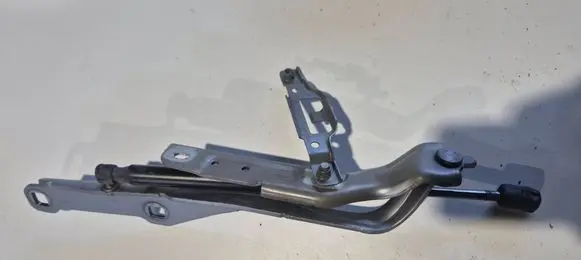 Dodge Charger Engine bonnet/hood hinges 55113551AF