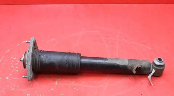 BMW X5 E70 Rear shock absorber/damper 6782877