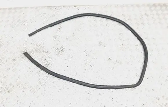 Lexus CT 200H Front door rubber seal