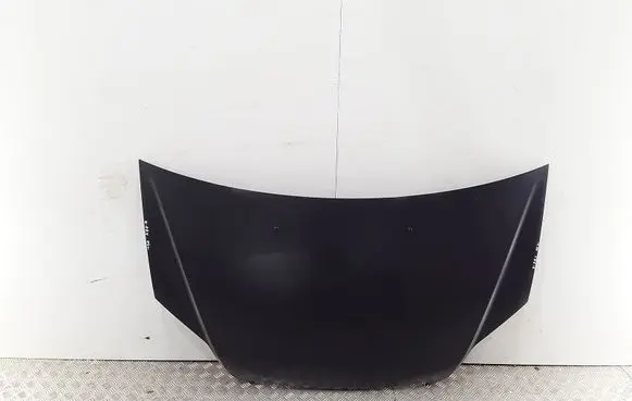 Engine bonnet/hood