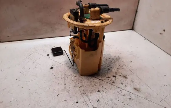 Peugeot 807 In-tank fuel pump 1489085080 07035 28222015008