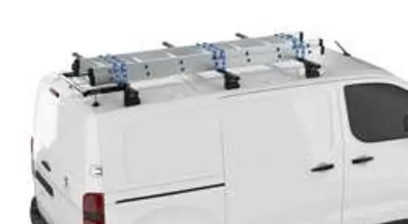 Renault Trafic III (X82) Roof trunk box