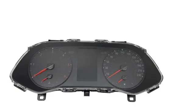 Renault Kangoo III Speedometer (instrument cluster) 248099901R 13N5670BNF5C