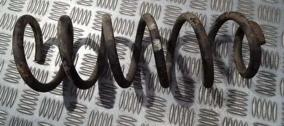 Peugeot 406 Rear coil spring