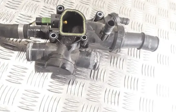 Thermostat/thermostat housing