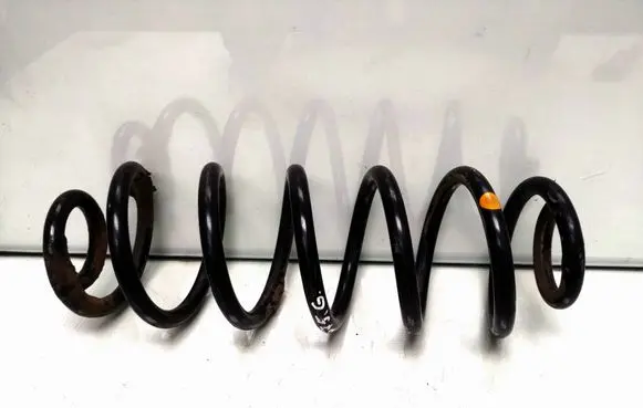 Rear coil spring