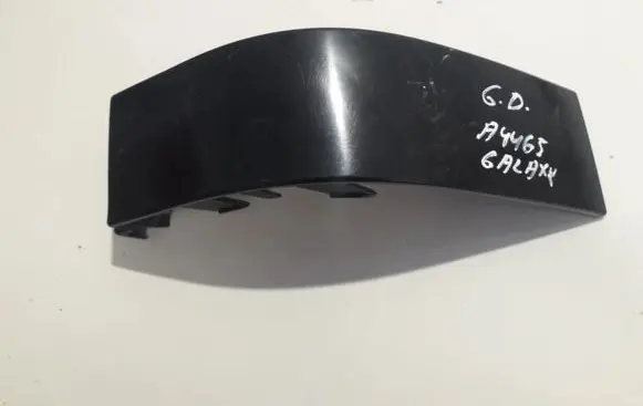 Rear/tail light trim molding