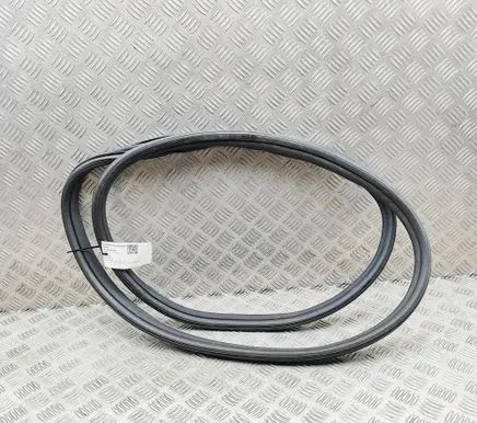 BYD Dolphin Rubber seal front door (on door) 1313622400 EM2E5407112