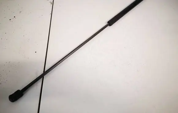 Tailgate/trunk strut/damper