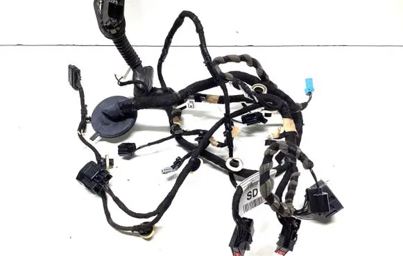 Rear door wiring loom