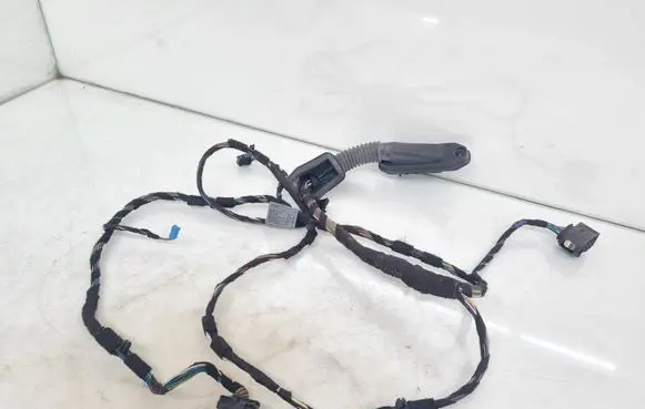 Front door wiring loom